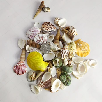 colore maišyti mažų jūros kriauklių akvariumo dekoravimas ornamentais, gamtos mini myli