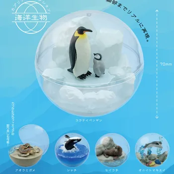 Japonija QUALIA Gashapon Kapsulė Žaislai Pingvinai Modelis Stalo Puošyba, Dekoravimas jūrų vėplio Žudikas Banginių Gyvenimas Jūroje Srityje