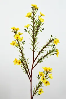 Prabangių Gėlių Vaškas Ilgą Šaką, Dirbtinės Gėlės Purškimo Namų Stalo Papuošimas, Vestuvių Foto Rekvizitai